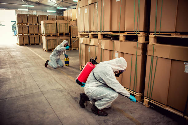 Best Best Pest Control Companies  in Mcarthur, OH