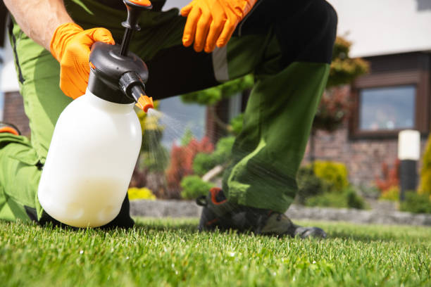 Best Affordable Pest Control Services  in Mcarthur, OH