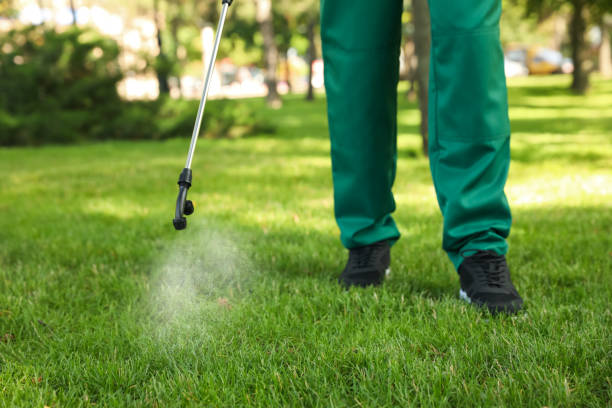 Best Pest Prevention Services  in Mcarthur, OH
