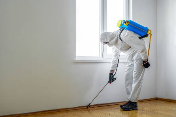 Pest Prevention Services in Mcarthur, OH
