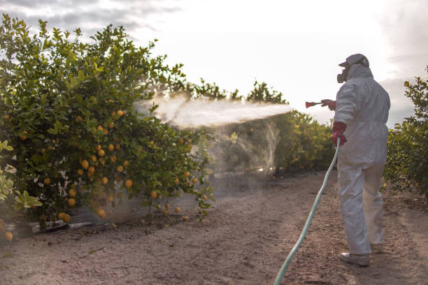 Best Commercial Pest Control Services  in Mcarthur, OH