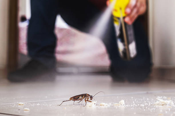 Best Residential Pest Control  in Mcarthur, OH