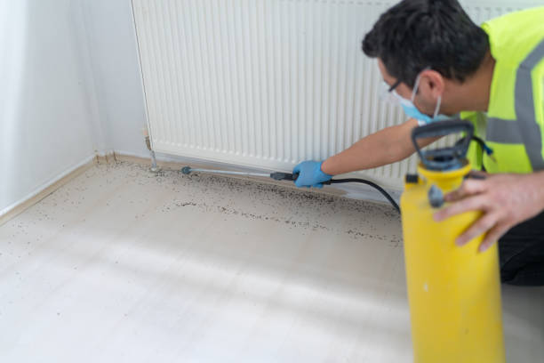 Best Ant Control Services  in Mcarthur, OH