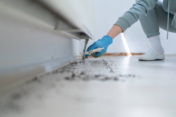 Best Cockroach Control Services  in Mcarthur, OH