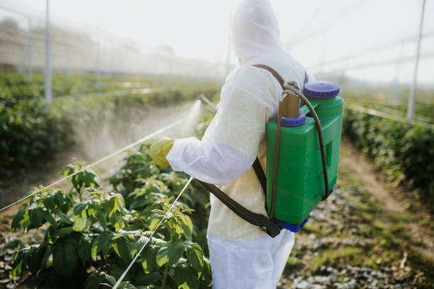 Best Pest Control Cost  in Mcarthur, OH
